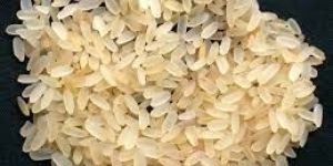 Short Grain Rice