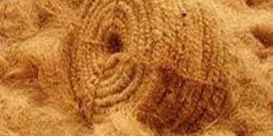 Coconut Coir