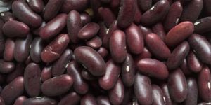 Black Beans / Kidney Beans