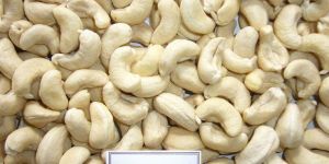 Raw Cashew Nuts