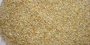 Green Millets