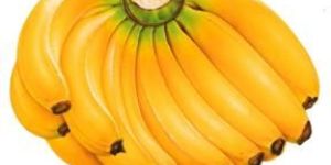 Banana (Musa)