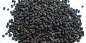 Black Pepper Seeds