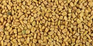 Fenugreek Seeds