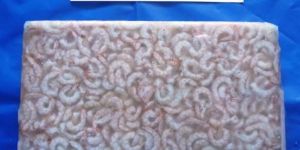 Frozen Pud Shrimps