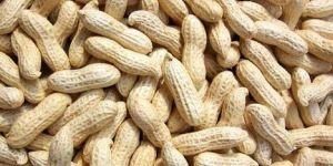 Shelled Groundnuts