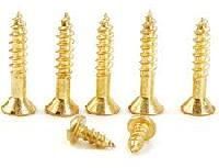 Brass Wood Screws