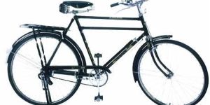 Roadster Raleigh Type Bicycle (Double Bar)