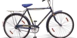 Roadster Raleigh Type Bicycle (Standard)
