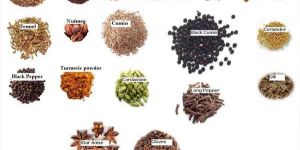 Indian Spices