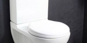 Sanitary Products