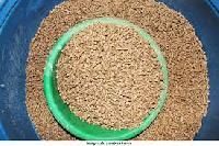 Cattle Feed Supplements