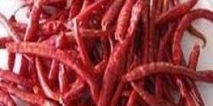 Dried Red Chilli