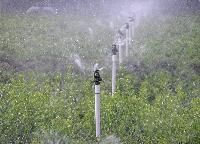 Irrigation Sprinklers