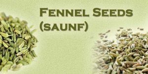 Fennel Seeds