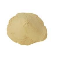 Casein Protein Hydrolysate Powder