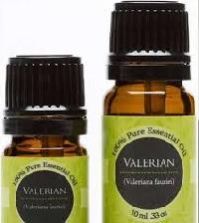 Valerian Root Oil