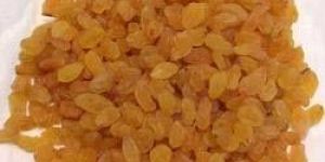 Golden Raisins