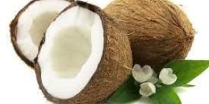 Fresh Coconut