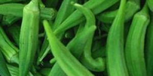 Frozen Okra