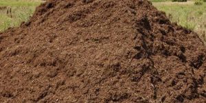 Agricultural Waste Management Consultancy