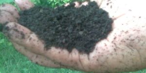 Krishi Sanjeevani Organic Manure