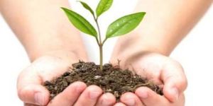 Organic Farming Consultancy