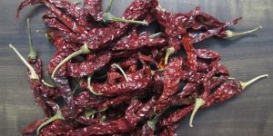 Dry Red Chilli