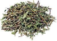 Herbal Raw Material
