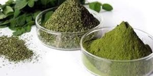 Organic Moringa Powder