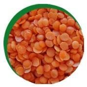 Masoor Dal