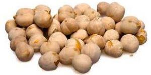 White Chickpeas