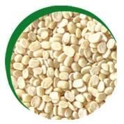 White Urad Dal