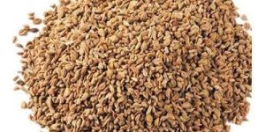 Aegle Marmelos Seeds