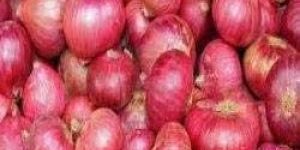 Fresh Red Onion