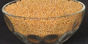 AUTO DRIED HULLED SESAME SEEDS