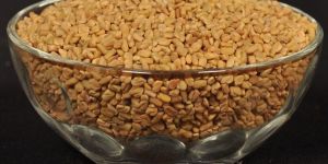 Fenugreek Seeds
