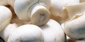 Fresh Button Mushroom