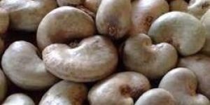 Raw Cashew Nuts