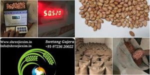 Peanuts Kanerals Bold