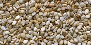 Sesame Seeds