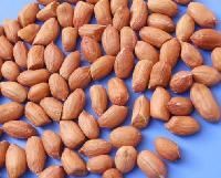 HPS Groundnut Kernels
