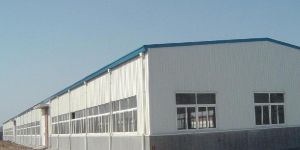 Industrial Shed