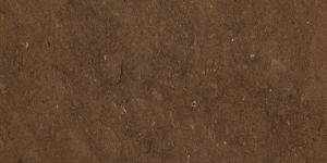 Natural Brown Stones