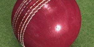 Leather Cricket Balls