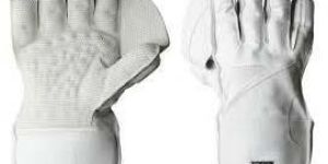 Wicket Keeping Gloves