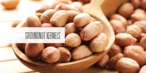 Groundnut Kernels