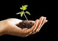 Organic Plant Nutrients