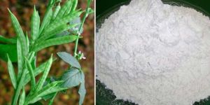 Guar Gum Powder