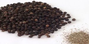 Black Pepper Seeds